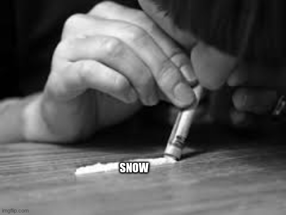 snorting | SNOW | image tagged in snorting | made w/ Imgflip meme maker