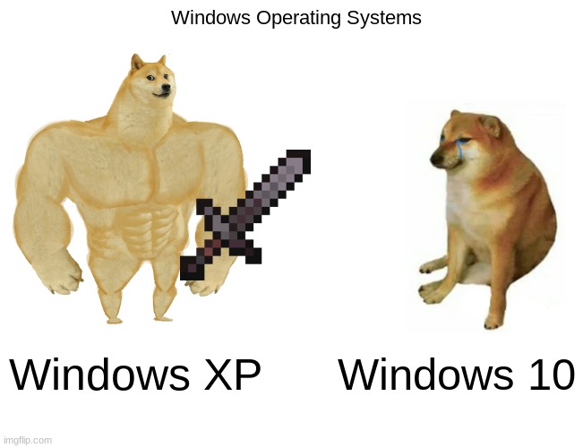 Windows Operating Systems Be like | Windows Operating Systems; Windows XP; Windows 10 | image tagged in memes,buff doge vs cheems | made w/ Imgflip meme maker