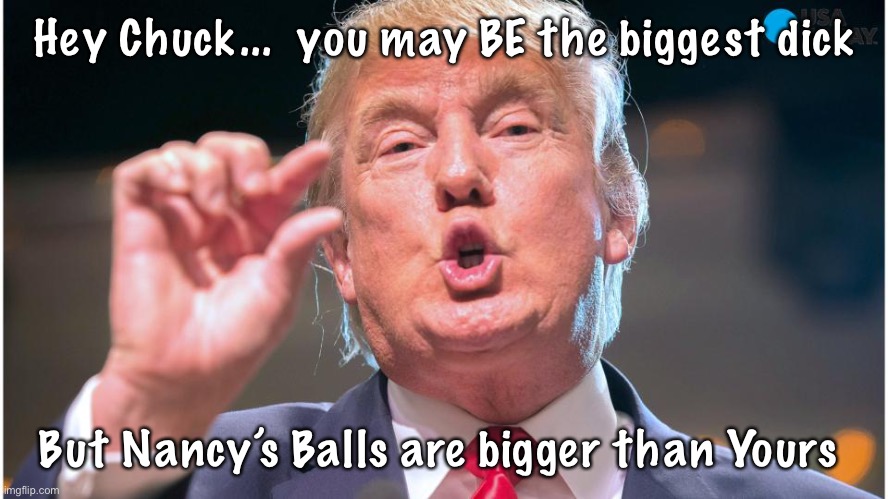Chuck & Nancy | Hey Chuck...  you may BE the biggest dick; But Nancy’s Balls are bigger than Yours | image tagged in donald trump small brain | made w/ Imgflip meme maker