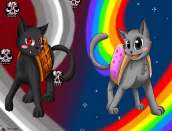 TAC NAYN VS NYAN CAT | image tagged in tac nayn vs nyan cat | made w/ Imgflip meme maker