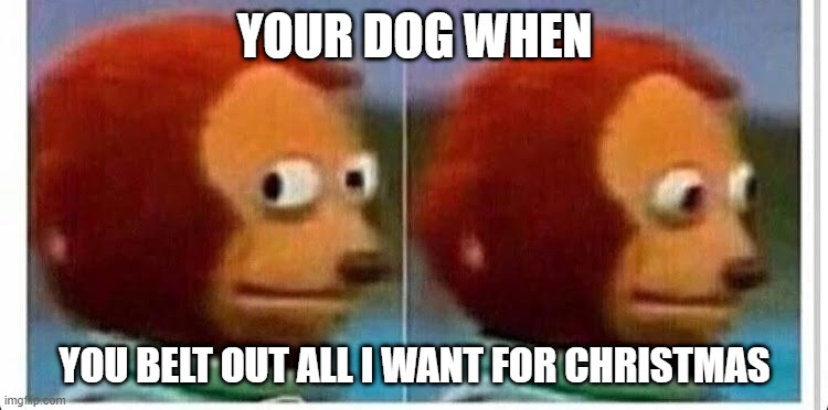 The Dog and I | YOUR DOG WHEN; YOU BELT OUT ALL I WANT FOR CHRISTMAS | image tagged in awkward muppet | made w/ Imgflip meme maker