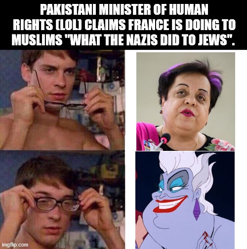 Spiderman Glasses | PAKISTANI MINISTER OF HUMAN RIGHTS (LOL) CLAIMS FRANCE IS DOING TO MUSLIMS "WHAT THE NAZIS DID TO JEWS". | image tagged in spiderman glasses,pakistan,islam,france,fake news | made w/ Imgflip meme maker