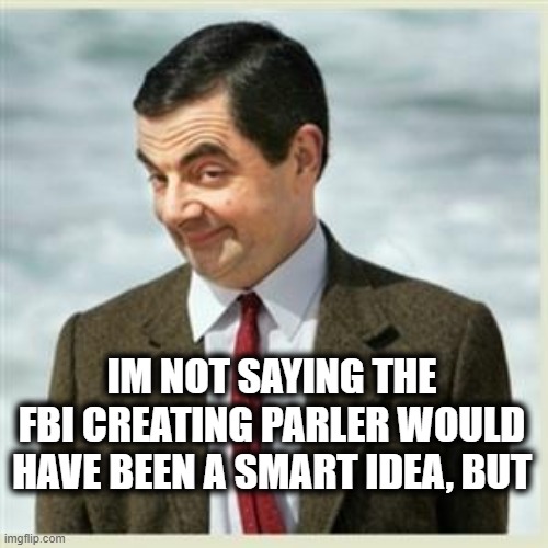 Better to keep em all in one place where we can keep an eye on them | IM NOT SAYING THE FBI CREATING PARLER WOULD HAVE BEEN A SMART IDEA, BUT | image tagged in memes,politics,right wing,violence,treason,social media | made w/ Imgflip meme maker