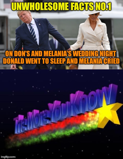 Many people are taking about this, believe me | UNWHOLESOME FACTS NO.1; ON DON’S AND MELANIA’S WEDDING NIGHT 
DONALD WENT TO SLEEP AND MELANIA CRIED | image tagged in trump and melania,the more you know,donald trump,orange,wedding,fail | made w/ Imgflip meme maker