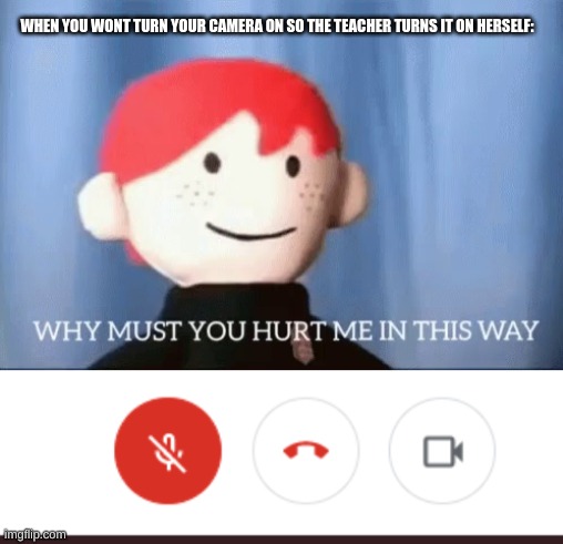 why teacher WHY | WHEN YOU WONT TURN YOUR CAMERA ON SO THE TEACHER TURNS IT ON HERSELF: | image tagged in why must you hurt me in this way | made w/ Imgflip meme maker