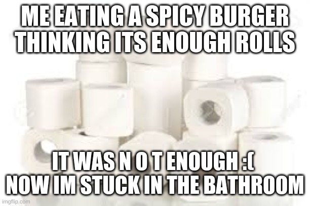 Rolls of toliet paper | ME EATING A SPICY BURGER THINKING ITS ENOUGH ROLLS; IT WAS N O T ENOUGH :( 
NOW IM STUCK IN THE BATHROOM | image tagged in rolls of toliet paper | made w/ Imgflip meme maker