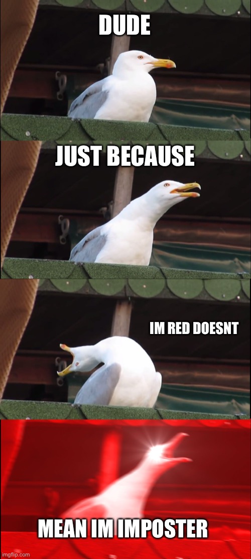 Inhaling Seagull | DUDE; JUST BECAUSE; IM RED DOESNT; MEAN IM IMPOSTER | image tagged in memes,inhaling seagull | made w/ Imgflip meme maker