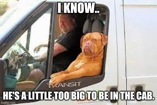 Thick doge | I KNOW.. HE'S A LITTLE TOO BIG TO BE IN THE CAB. | image tagged in doge | made w/ Imgflip meme maker