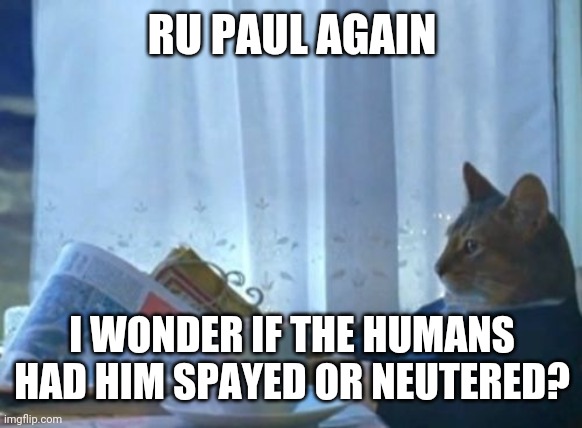 I Should Buy A Boat Cat Meme | RU PAUL AGAIN; I WONDER IF THE HUMANS HAD HIM SPAYED OR NEUTERED? | image tagged in memes,i should buy a boat cat | made w/ Imgflip meme maker