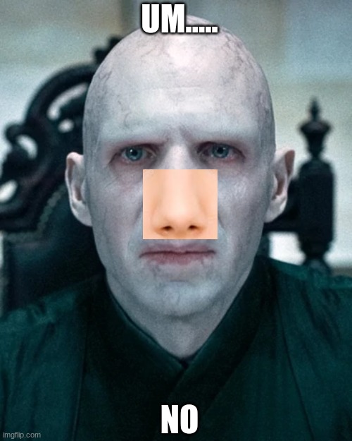 no | UM..... NO | image tagged in voldemort,nose | made w/ Imgflip meme maker