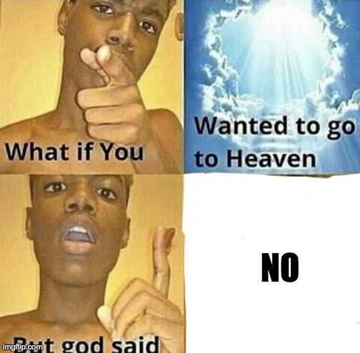 What if you wanted to go to Heaven | NO | image tagged in what if you wanted to go to heaven | made w/ Imgflip meme maker