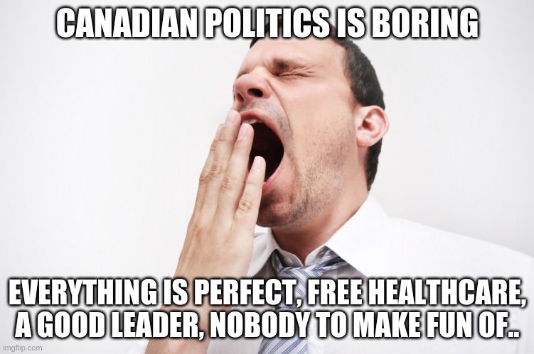 yawn | CANADIAN POLITICS IS BORING; EVERYTHING IS PERFECT, FREE HEALTHCARE, A GOOD LEADER, NOBODY TO MAKE FUN OF.. | image tagged in yawn,meanwhile in canada | made w/ Imgflip meme maker