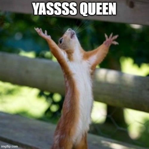 YASS | YASSSS QUEEN | image tagged in yass | made w/ Imgflip meme maker