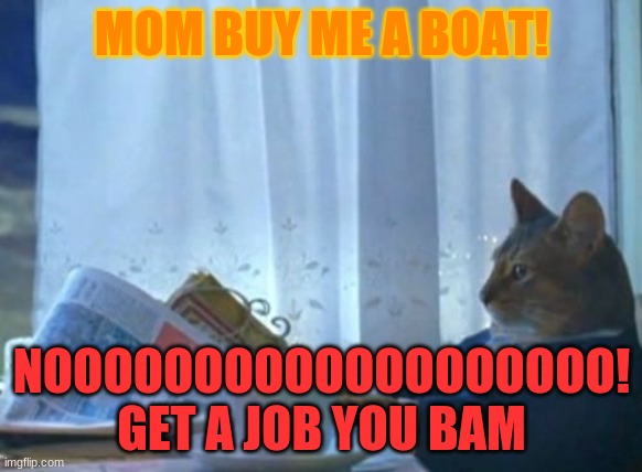 I Should Buy A Boat Cat Meme | MOM BUY ME A BOAT! NOOOOOOOOOOOOOOOOOOO! GET A JOB YOU BAM | image tagged in memes,i should buy a boat cat | made w/ Imgflip meme maker