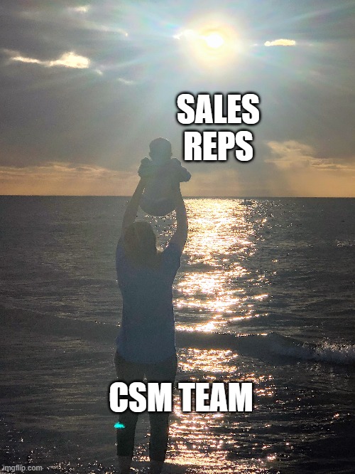 LIFT YOU UP | SALES REPS; CSM TEAM | image tagged in uplifting | made w/ Imgflip meme maker