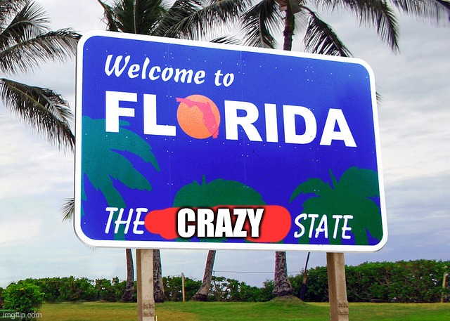 Florida | CRAZY | image tagged in florida | made w/ Imgflip meme maker