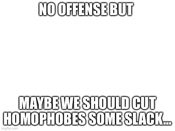 Y u bully them? | NO OFFENSE BUT; MAYBE WE SHOULD CUT HOMOPHOBES SOME SLACK... | image tagged in blank white template | made w/ Imgflip meme maker
