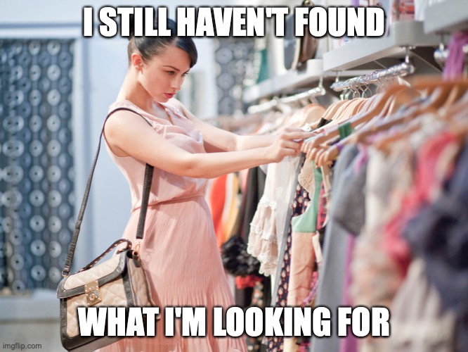 I Still Haven't Found What I'm Looking For | I STILL HAVEN'T FOUND; WHAT I'M LOOKING FOR | image tagged in shopping,song | made w/ Imgflip meme maker