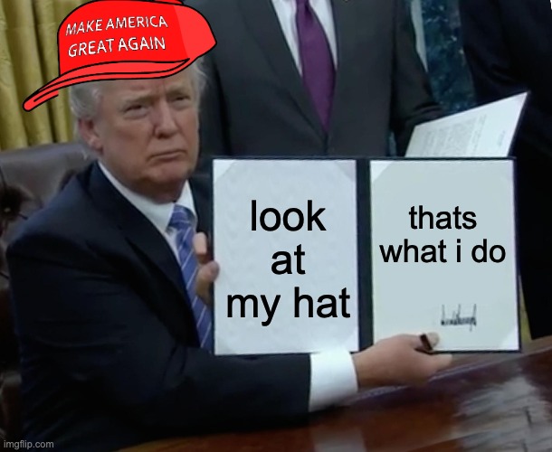 ree | thats what i do; look at my hat | image tagged in memes,trump bill signing | made w/ Imgflip meme maker