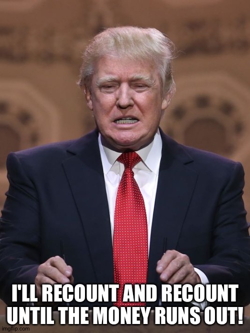 Donald Trump | I'LL RECOUNT AND RECOUNT
UNTIL THE MONEY RUNS OUT! | image tagged in donald trump | made w/ Imgflip meme maker