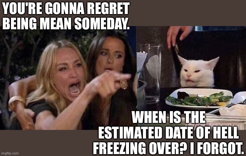 woman yelling at cat | YOU'RE GONNA REGRET BEING MEAN SOMEDAY. WHEN IS THE ESTIMATED DATE OF HELL FREEZING OVER? I FORGOT. | image tagged in woman yelling at cat | made w/ Imgflip meme maker