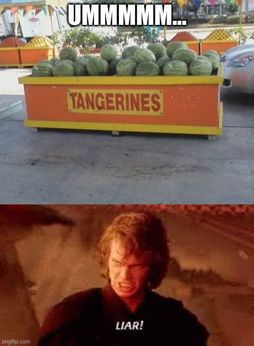 those aint tangerines! | UMMMMM... | image tagged in anakin liar | made w/ Imgflip meme maker