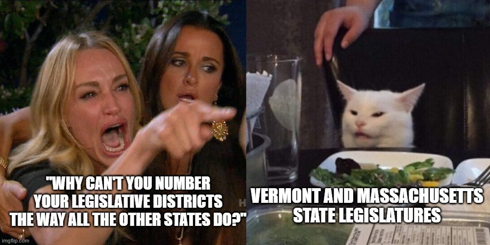 Woman yelling at cat | "WHY CAN'T YOU NUMBER YOUR LEGISLATIVE DISTRICTS THE WAY ALL THE OTHER STATES DO?"; VERMONT AND MASSACHUSETTS STATE LEGISLATURES | image tagged in woman yelling at cat,politics,civics,state government | made w/ Imgflip meme maker