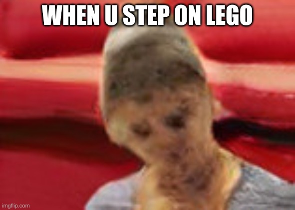 lego | WHEN U STEP ON LEGO | image tagged in legos,cringe | made w/ Imgflip meme maker
