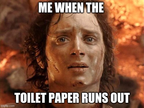 2020 toilet paper |  ME WHEN THE; TOILET PAPER RUNS OUT | image tagged in memes,it's finally over | made w/ Imgflip meme maker