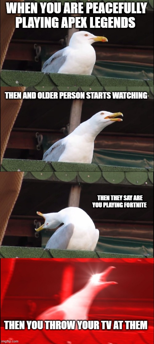 Inhaling Seagull Meme | WHEN YOU ARE PEACEFULLY PLAYING APEX LEGENDS; THEN AND OLDER PERSON STARTS WATCHING; THEN THEY SAY ARE YOU PLAYING FORTNITE; THEN YOU THROW YOUR TV AT THEM | image tagged in memes,inhaling seagull | made w/ Imgflip meme maker