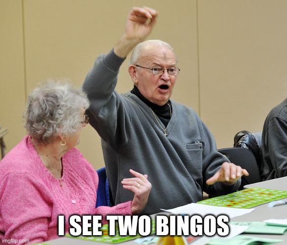 Bingo | I SEE TWO BINGOS | image tagged in bingo | made w/ Imgflip meme maker