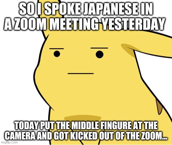Pikachu Is Not Amused | SO I SPOKE JAPANESE IN A ZOOM MEETING YESTERDAY; TODAY PUT THE MIDDLE FINGURE AT THE CAMERA AND GOT KICKED OUT OF THE ZOOM... | image tagged in pikachu is not amused | made w/ Imgflip meme maker