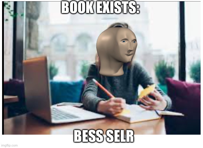 This is not a repost to someone | BOOK EXISTS:; BESS SELR | image tagged in new york | made w/ Imgflip meme maker