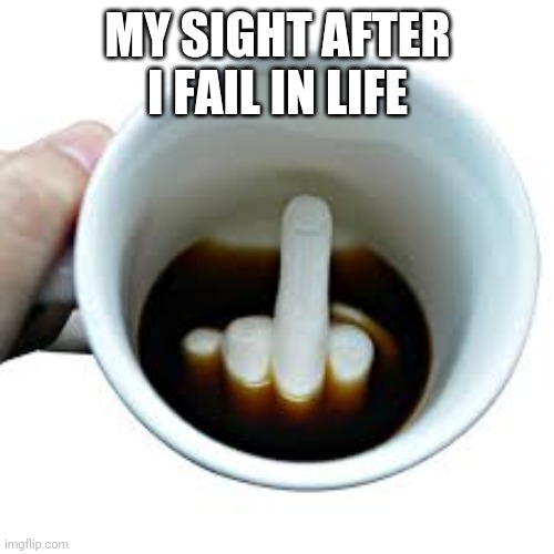middle finger | MY SIGHT AFTER I FAIL IN LIFE | image tagged in middle finger | made w/ Imgflip meme maker