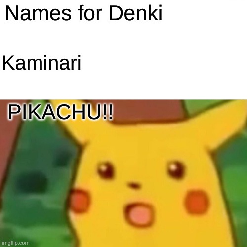 Names For Denki | Names for Denki; Kaminari; PIKACHU!! | image tagged in memes,surprised pikachu | made w/ Imgflip meme maker