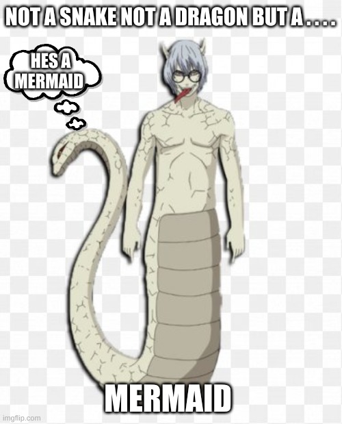 kabuto snake | NOT A SNAKE NOT A DRAGON BUT A . . . . HES A MERMAID; MERMAID | image tagged in naruto joke | made w/ Imgflip meme maker