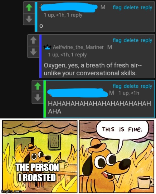 THE PERSON I ROASTED | image tagged in memes,this is fine,rare insults,oxygen,conversation | made w/ Imgflip meme maker