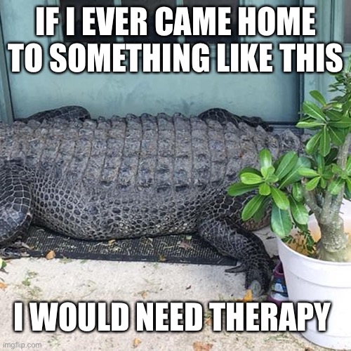 IF I EVER CAME HOME TO SOMETHING LIKE THIS I WOULD NEED THERAPY | made w/ Imgflip meme maker