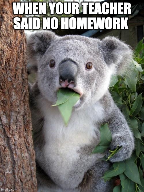 Surprised Koala | WHEN YOUR TEACHER SAID NO HOMEWORK | image tagged in memes,surprised koala | made w/ Imgflip meme maker