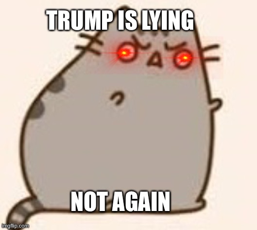 Y U NO PUSHEEN | TRUMP IS LYING; NOT AGAIN | image tagged in y u no pusheen | made w/ Imgflip meme maker