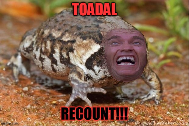 Toadal Recount | TOADAL; RECOUNT!!! | image tagged in recount,total recall,angry toad | made w/ Imgflip meme maker