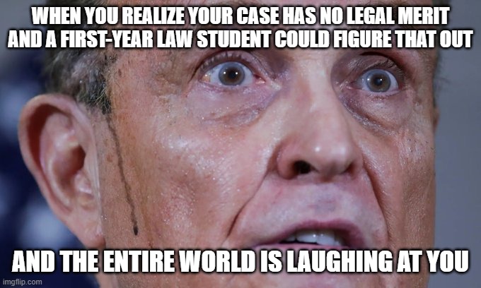 WHEN YOU REALIZE YOUR CASE HAS NO LEGAL MERIT AND A FIRST-YEAR LAW STUDENT COULD FIGURE THAT OUT; AND THE ENTIRE WORLD IS LAUGHING AT YOU | image tagged in rudy giuliani | made w/ Imgflip meme maker