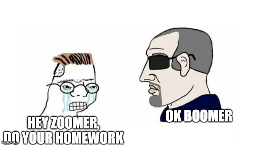 Boomer Zoomer Meme | OK BOOMER; HEY ZOOMER, DO YOUR HOMEWORK | image tagged in zoomer vs boomer,memes | made w/ Imgflip meme maker
