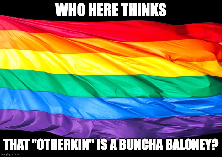 I'm enby and the fact that ppl do this... | WHO HERE THINKS; THAT "OTHERKIN" IS A BUNCHA BALONEY? | image tagged in gay flag | made w/ Imgflip meme maker