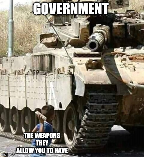 Assult rifle ban | GOVERNMENT; THE WEAPONS THEY ALLOW YOU TO HAVE | image tagged in government | made w/ Imgflip meme maker