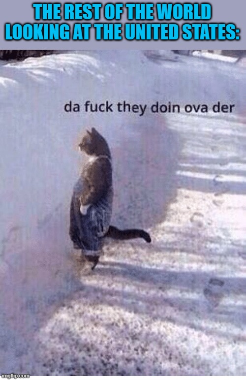 Da fuq they doing over there | THE REST OF THE WORLD LOOKING AT THE UNITED STATES: | image tagged in da fuq they doing over there | made w/ Imgflip meme maker