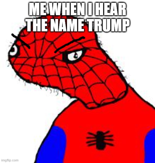 Spooderman | ME WHEN I HEAR THE NAME TRUMP | image tagged in spooderman | made w/ Imgflip meme maker