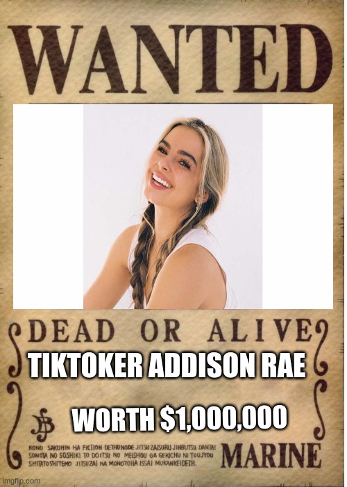 wanted tiktoker alive | TIKTOKER ADDISON RAE; WORTH $1,000,000 | image tagged in one piece wanted poster template,wanted | made w/ Imgflip meme maker