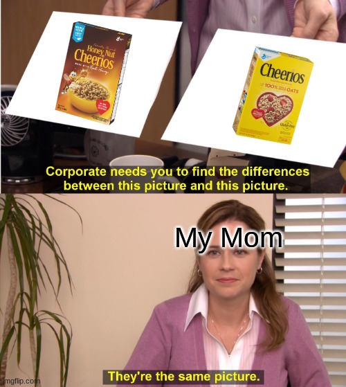 (Honey Nut) Cheerios | My Mom | image tagged in memes,they're the same picture | made w/ Imgflip meme maker