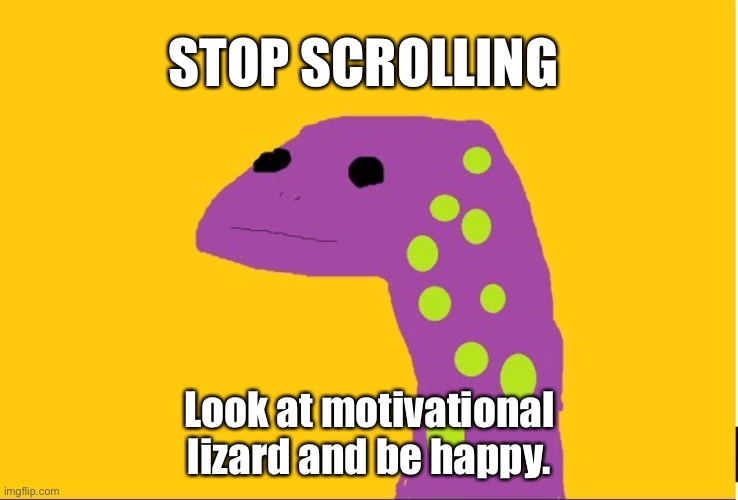 Motivational lizard | STOP SCROLLING; Look at motivational lizard and be happy. | image tagged in happy,look at me | made w/ Imgflip meme maker